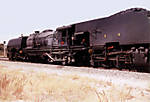 Rhodesian Railways 20 class has 1316 Views.