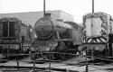 Gresley V3.