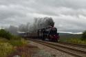 Todays Waverley Leaves Her Mark As She Heads For Garsdale