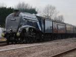 60007 SIR NIGEL GRESLEY Passing ILKESTON Junction 28/02/2009