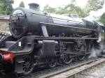 BLACK 5 NYMR