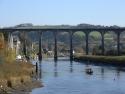 Calstock Viaduct 22.11.2013