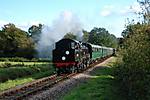 BR4MT 80151 Bluebell Autumn Gala