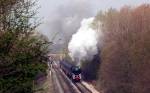 70013 with the Cathedrals Express