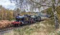 Severn Valley Railway End Of Season Gala