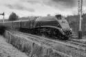 Sir Nigel Gresley