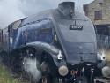 60007 Sir Nigel Gresley