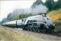 Severn Valley Railway Autumn Steam Gala 2001